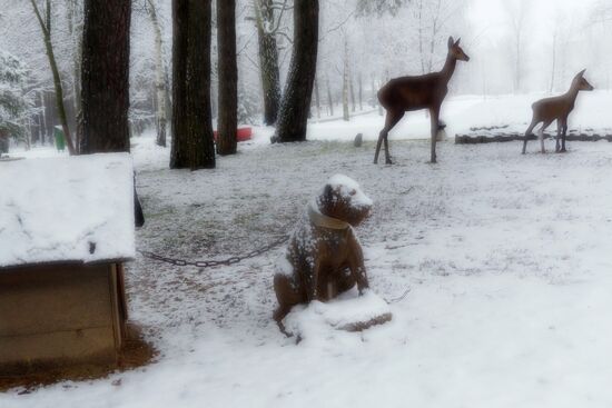 Winter in Belarus