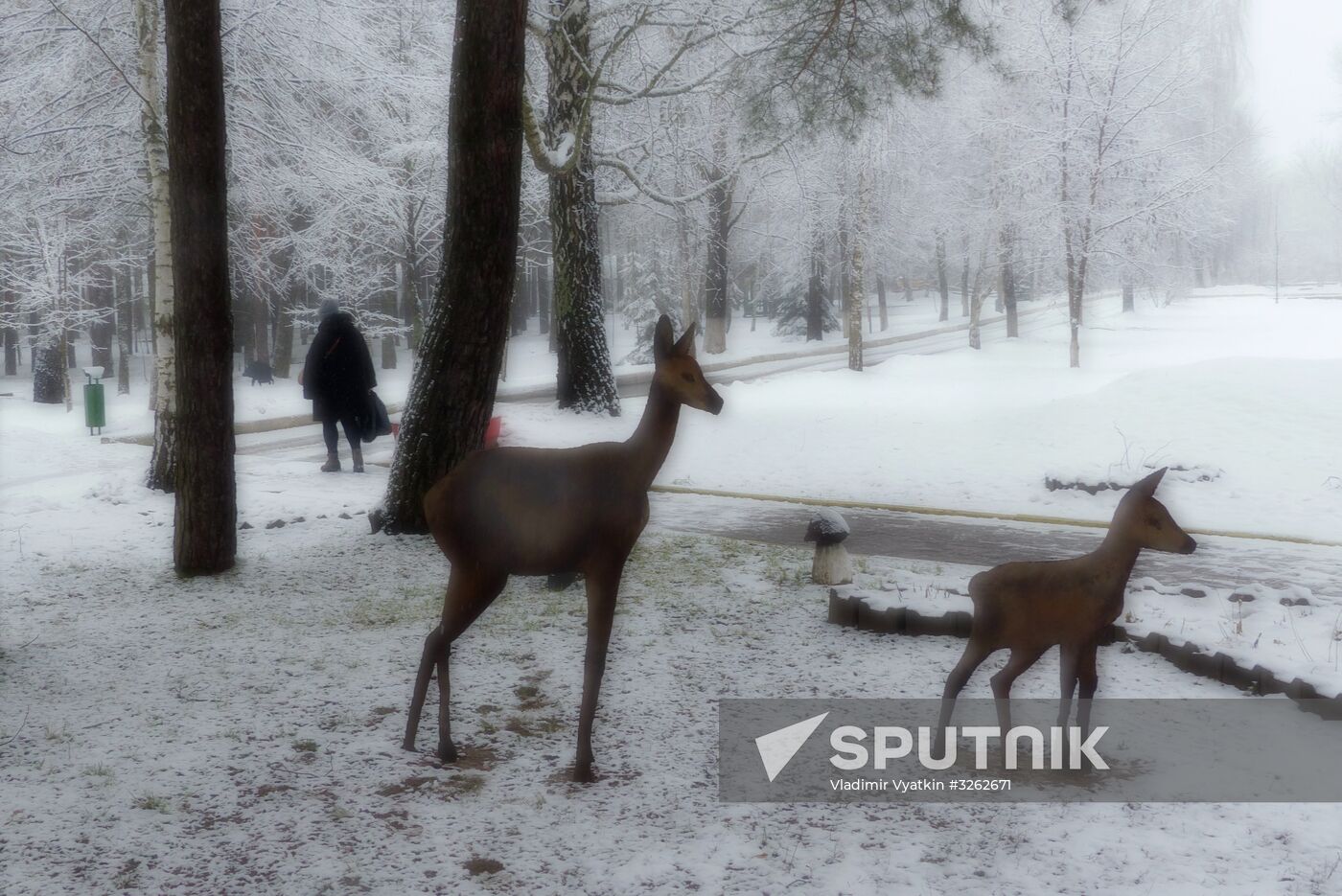 Winter in Belarus