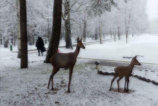 Winter in Belarus