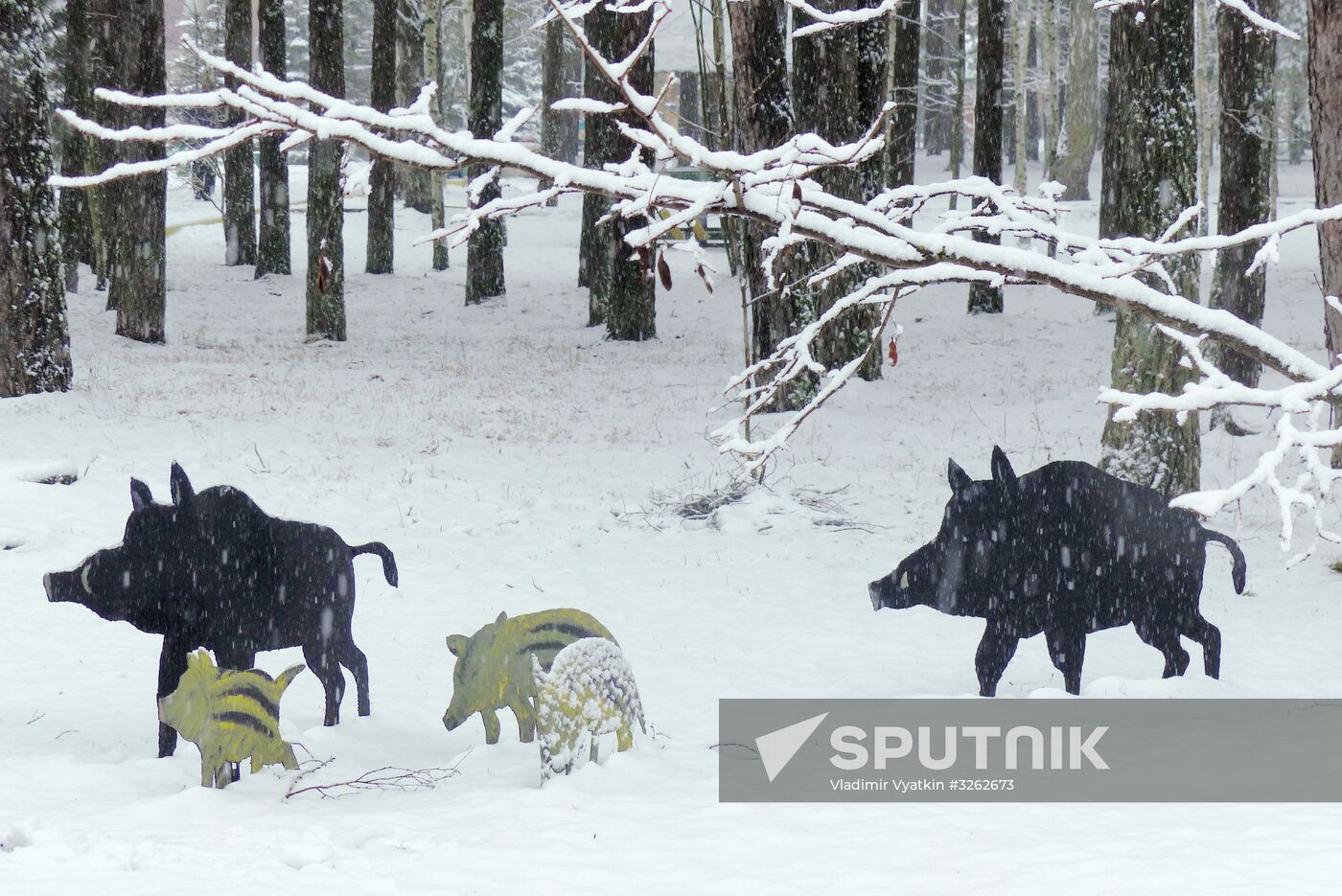 Winter in Belarus
