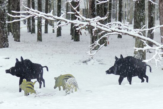Winter in Belarus