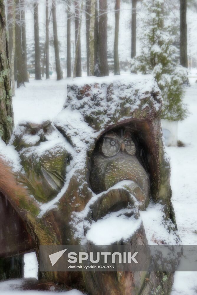 Winter in Belarus