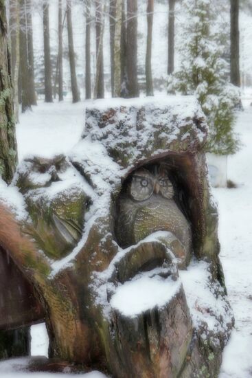 Winter in Belarus