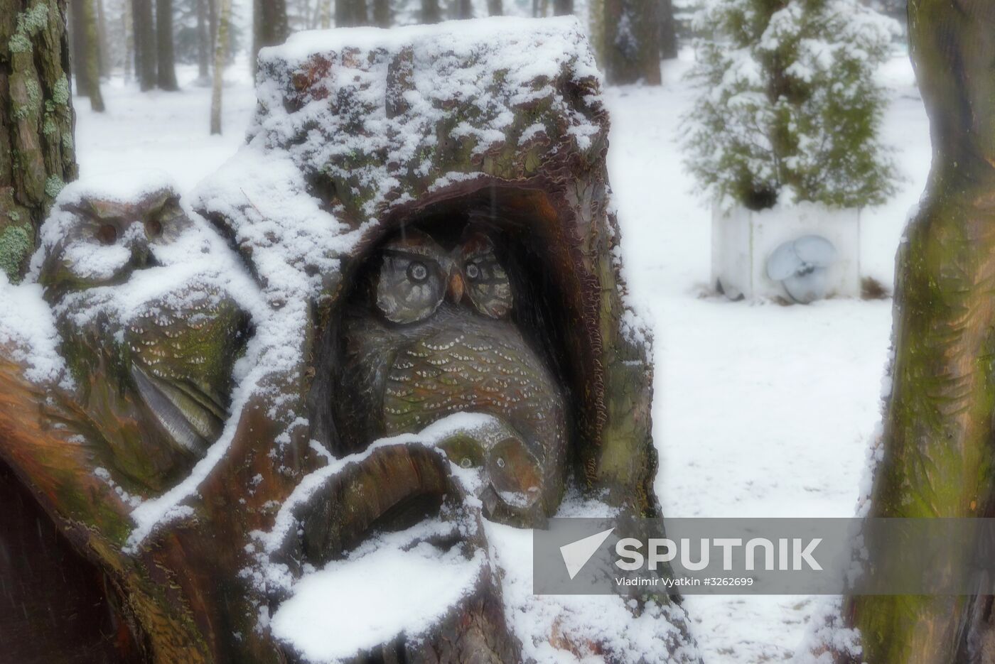 Winter in Belarus