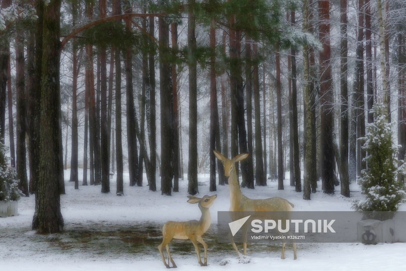Winter in Belarus
