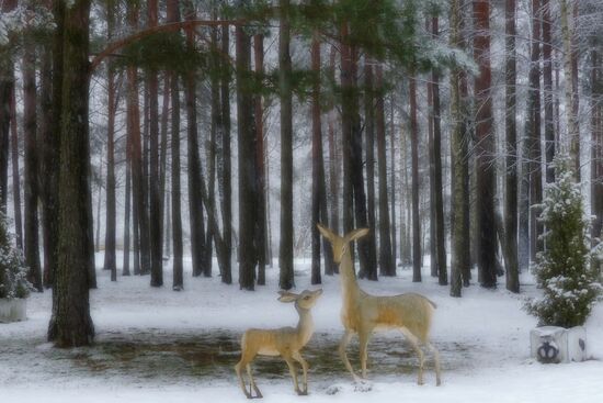 Winter in Belarus