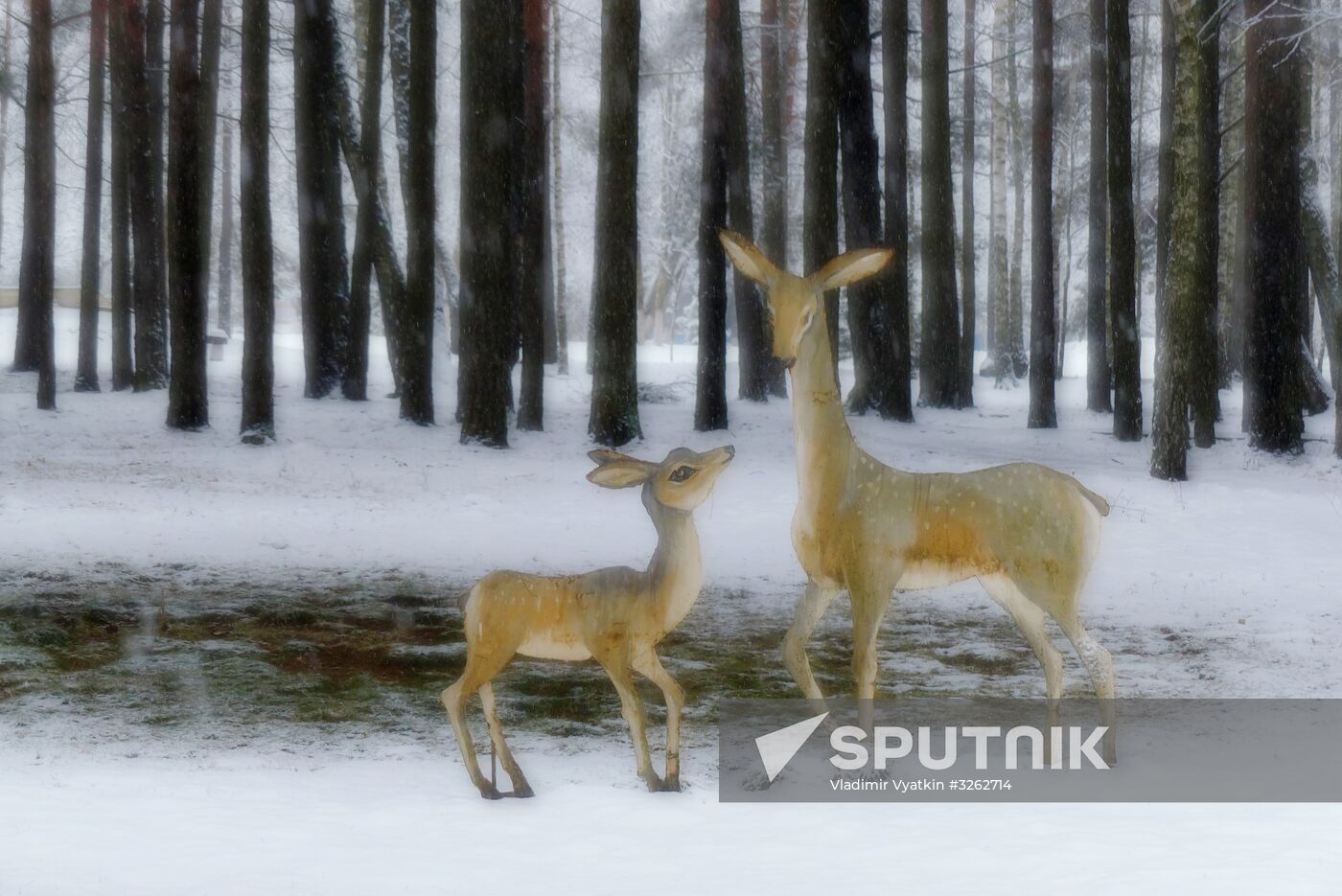 Winter in Belarus