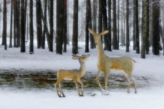 Winter in Belarus
