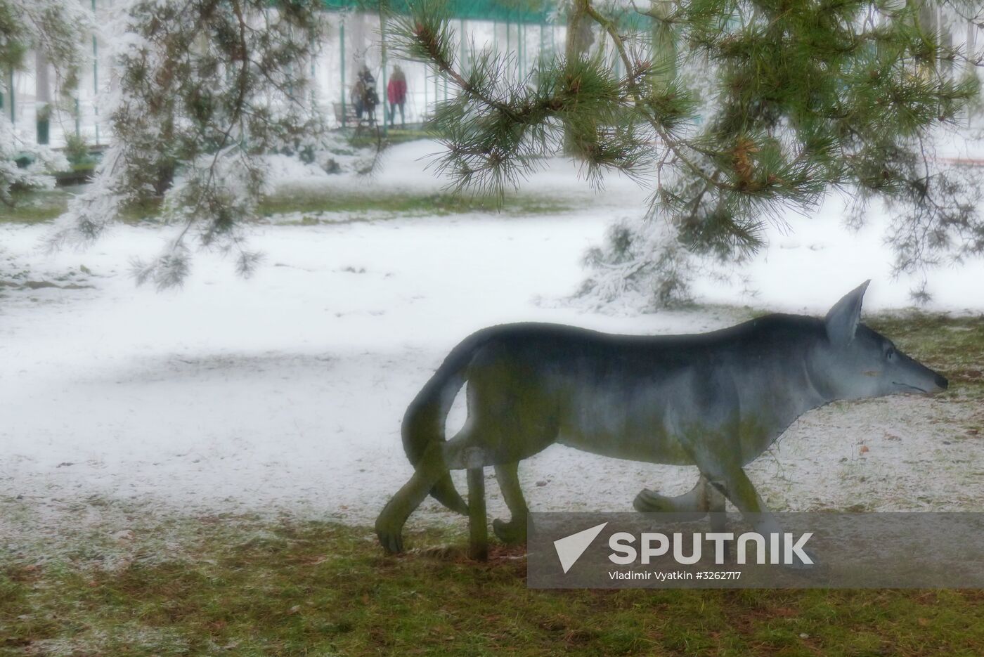 Winter in Belarus