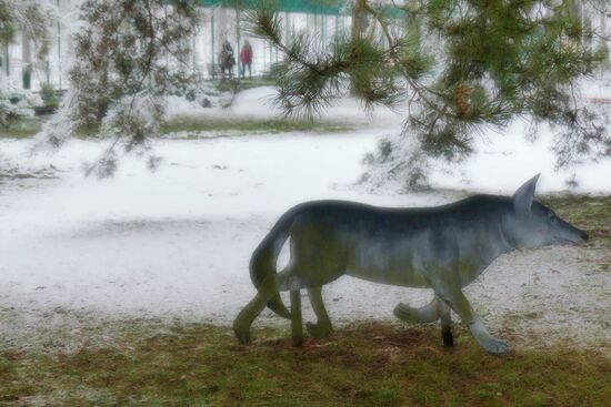 Winter in Belarus