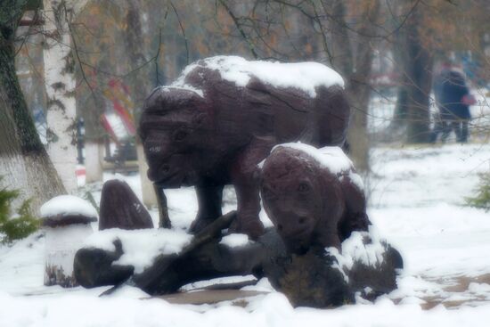Winter in Belarus