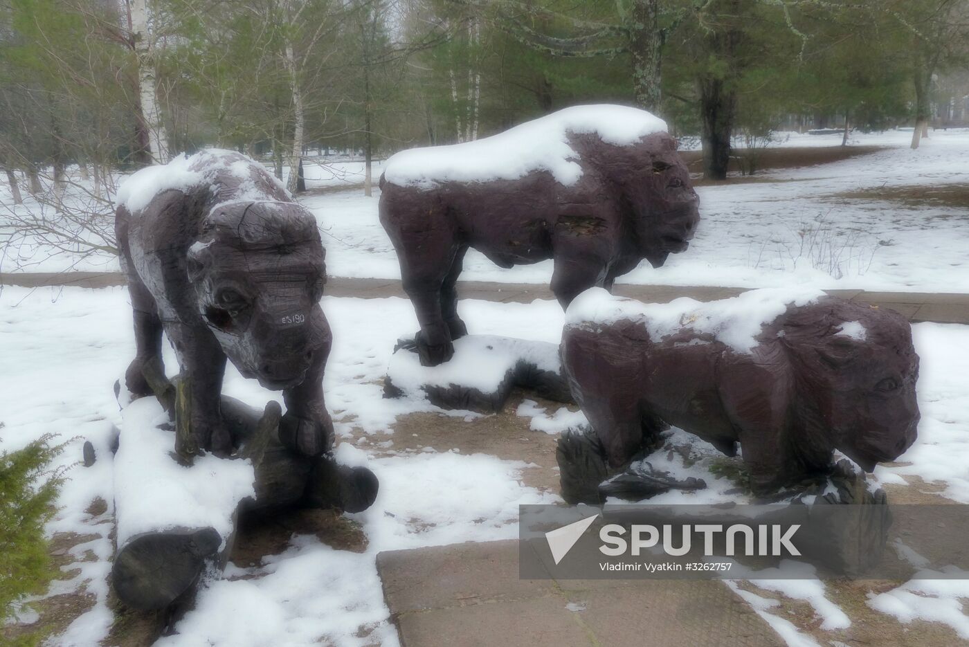 Winter in Belarus