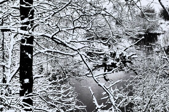 Winter in Belarus
