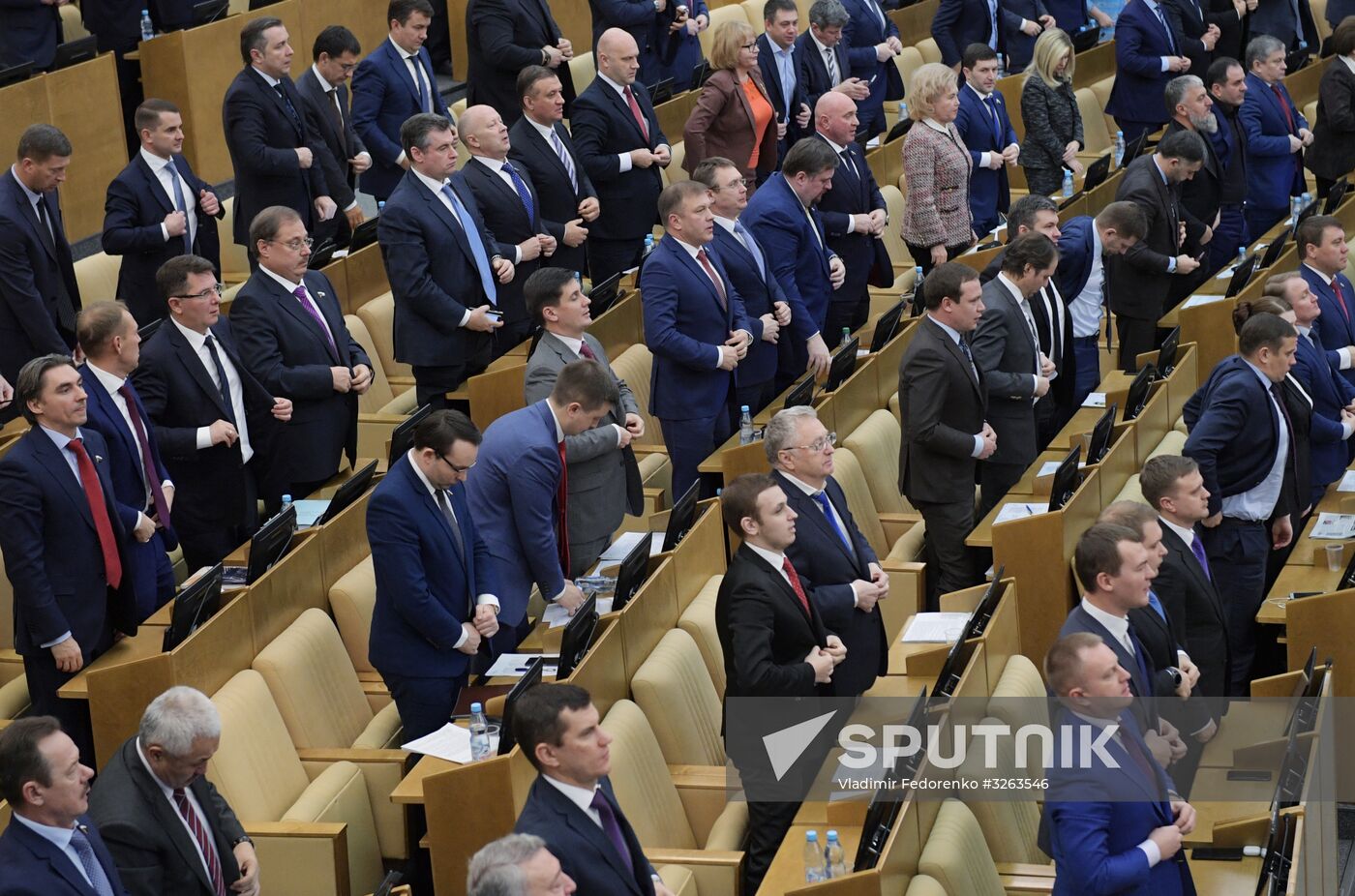 State Duma plenary meeting