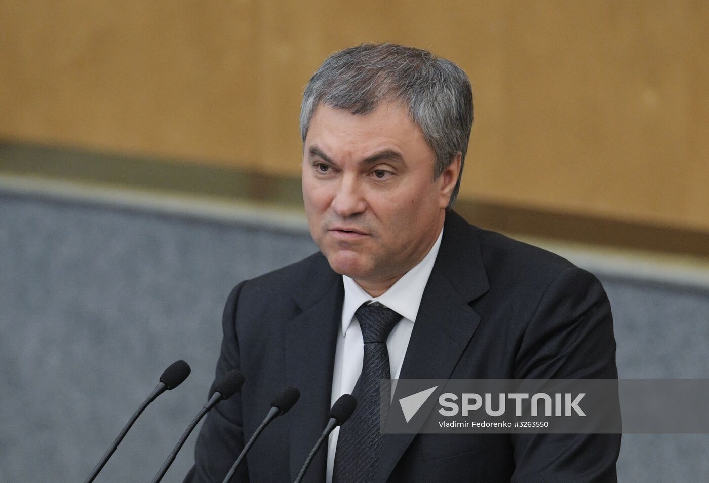 State Duma plenary meeting