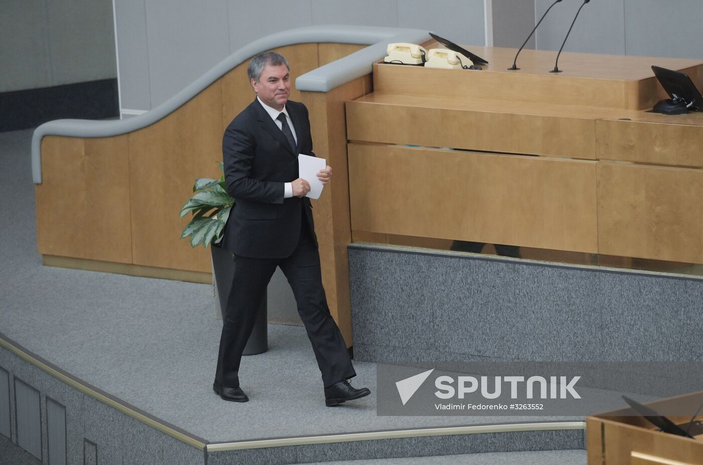 State Duma plenary meeting