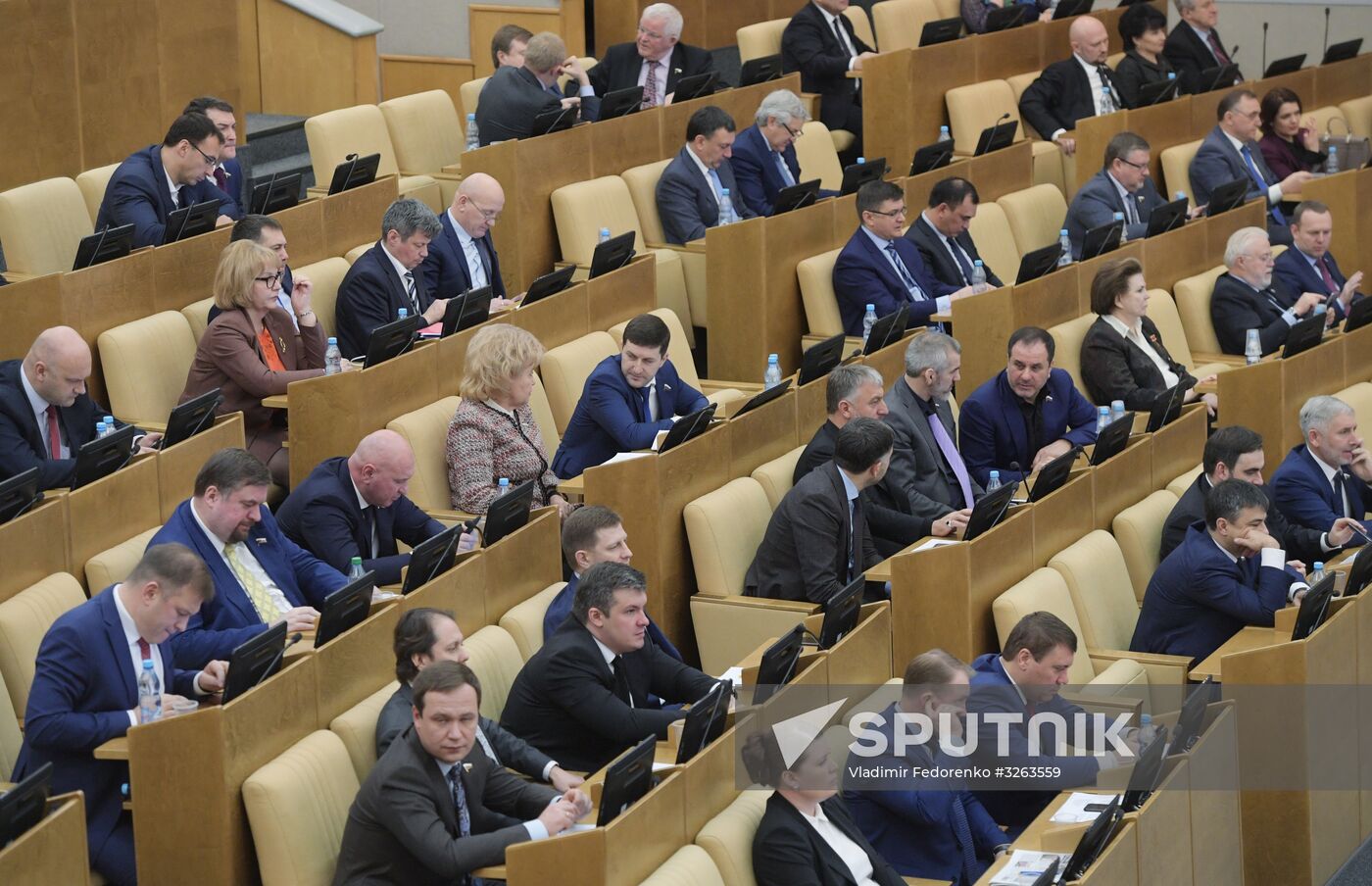 State Duma plenary meeting