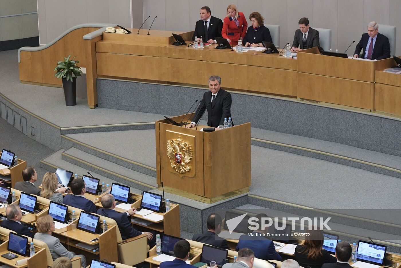 State Duma plenary meeting