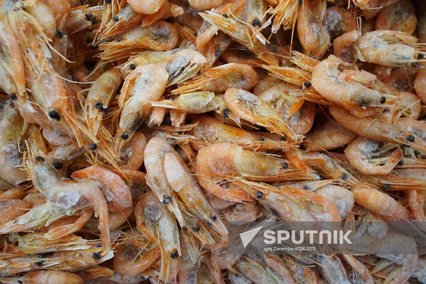 Portovy fish store opens at Kaliningrad Sea Port