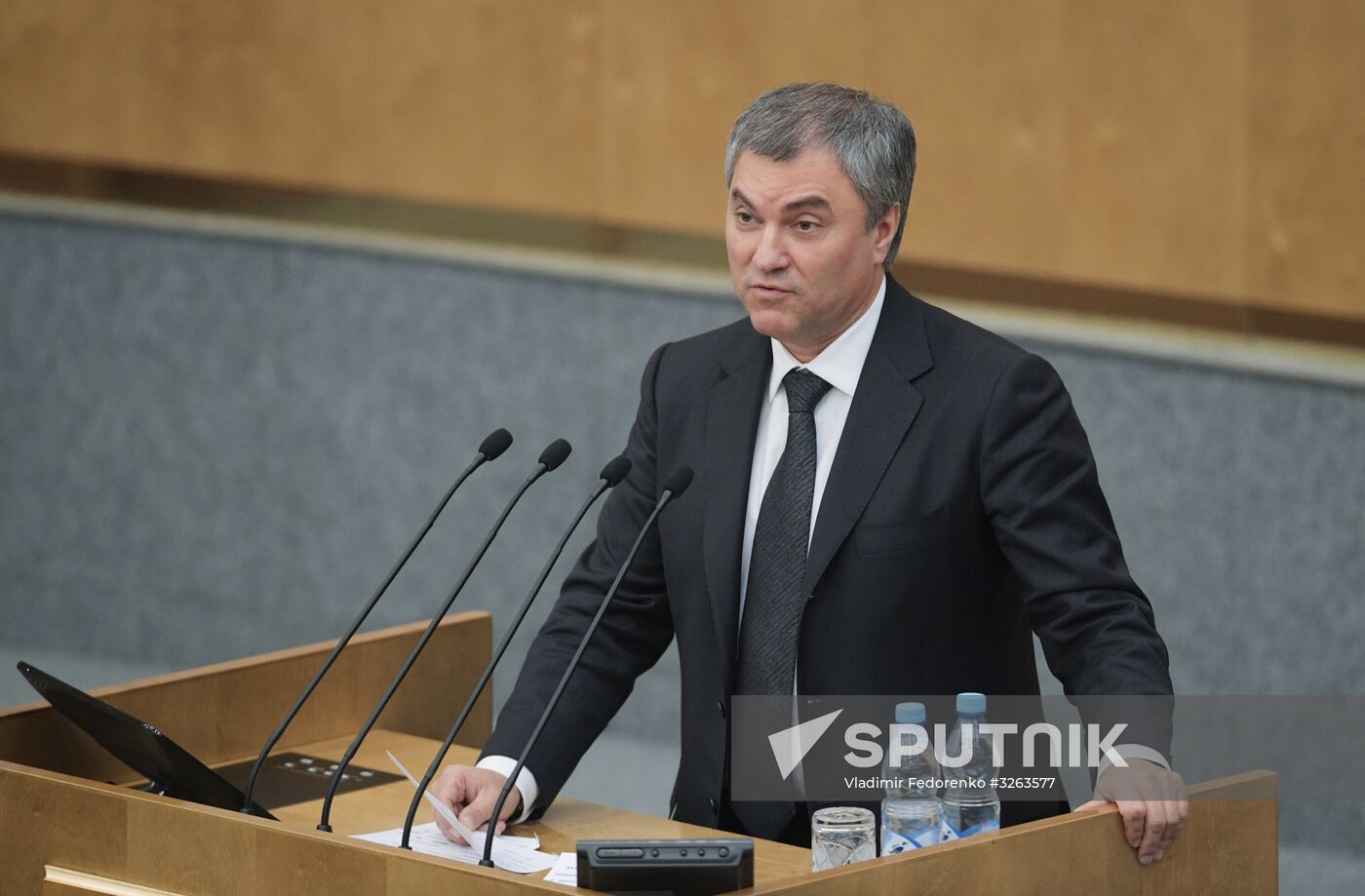 State Duma plenary meeting