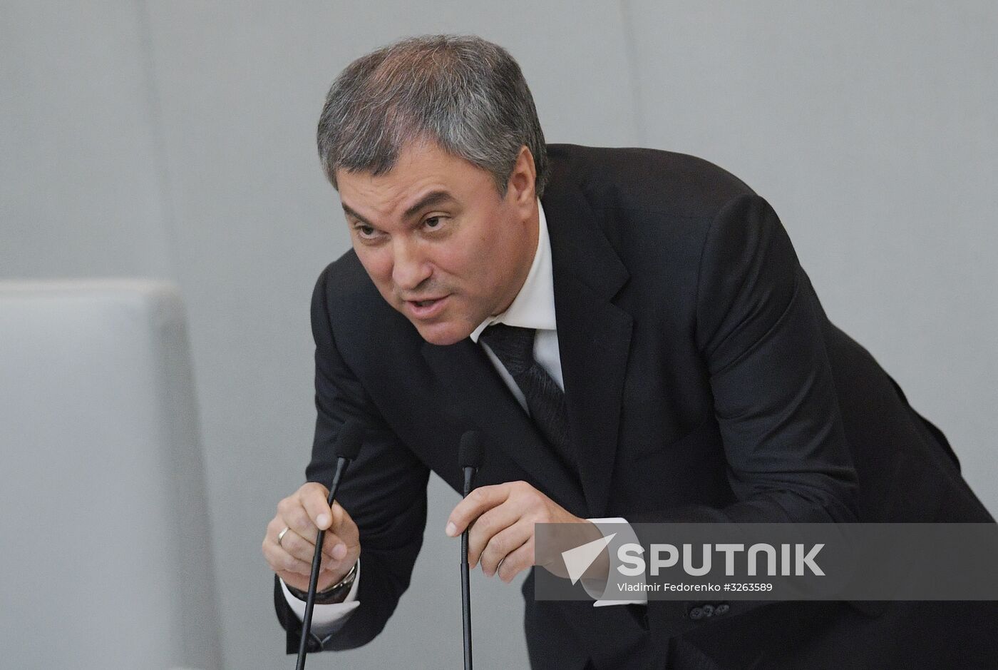 State Duma plenary meeting