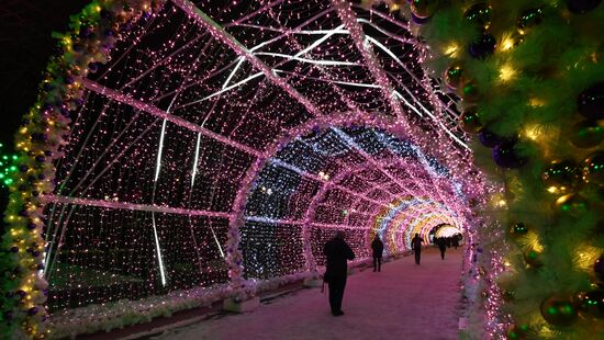 New Year's lights in Moscow
