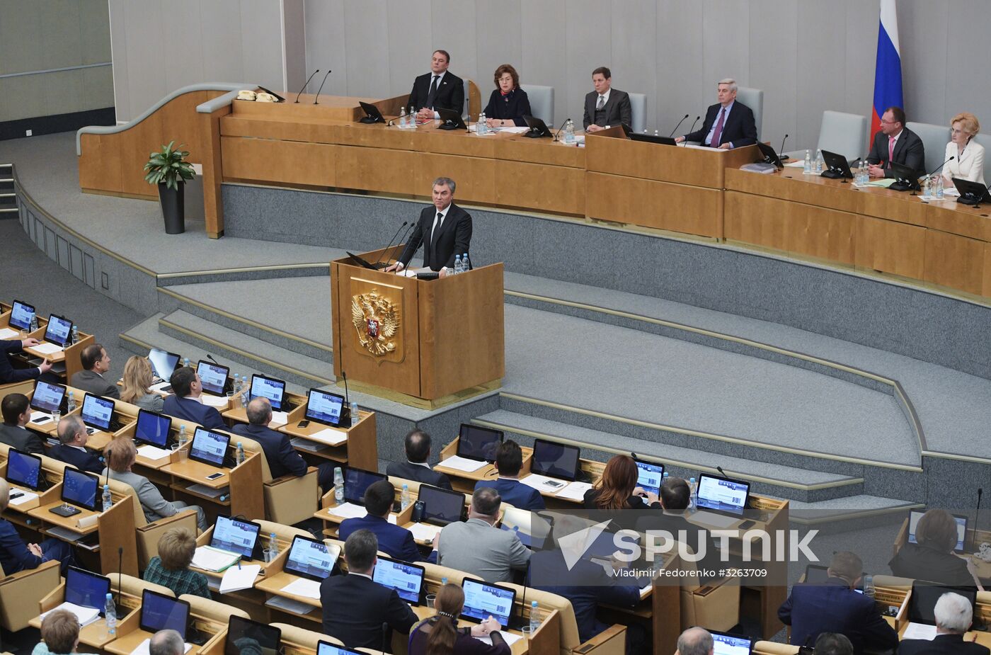 State Duma plenary meeting
