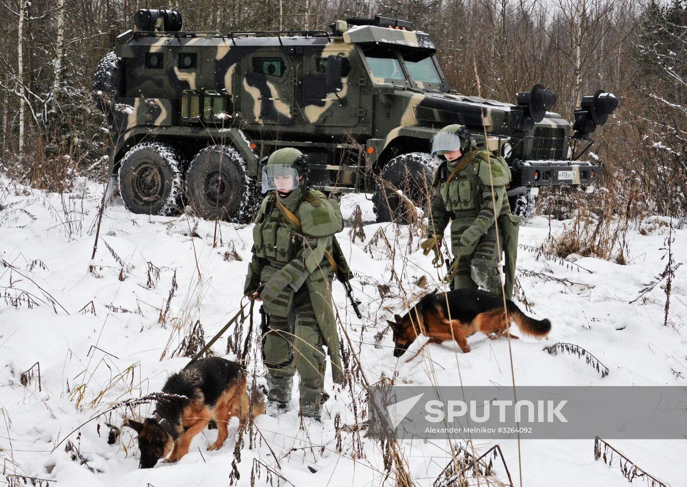 Mine clearing canine service training