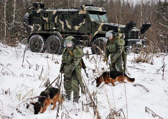 Mine clearing canine service training