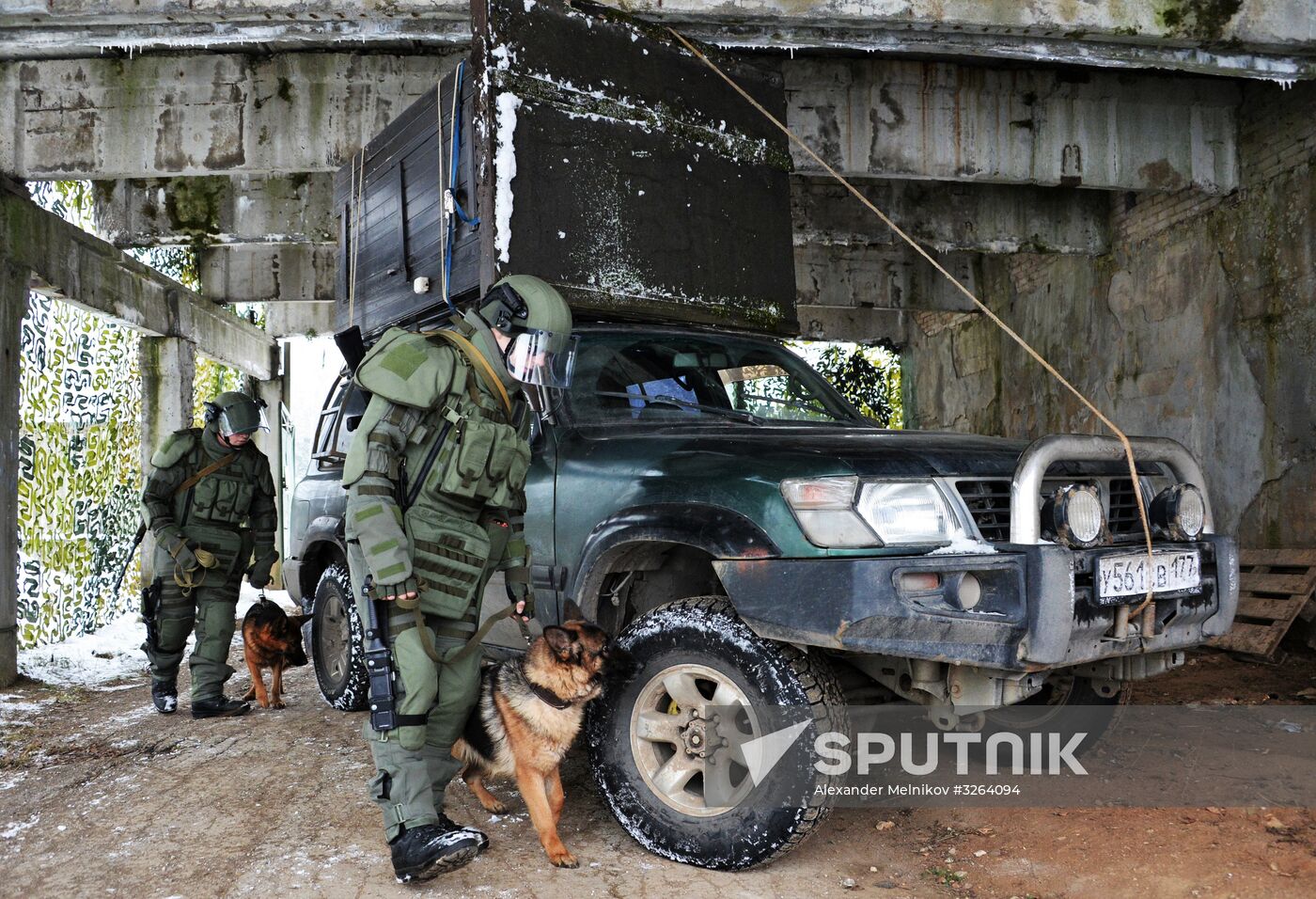 Mine clearing canine service training