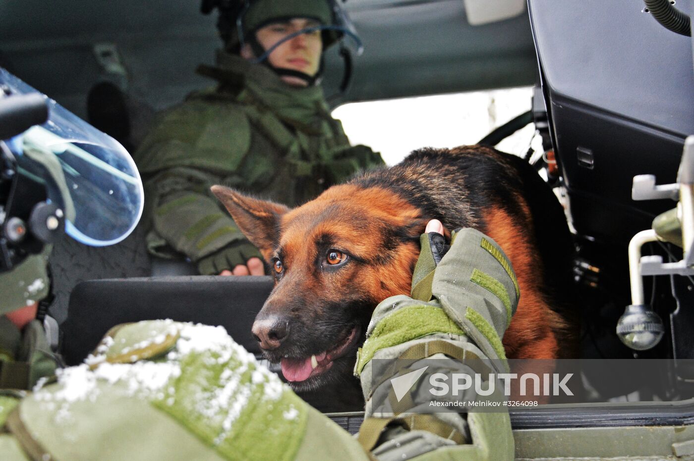 Mine clearing canine service training