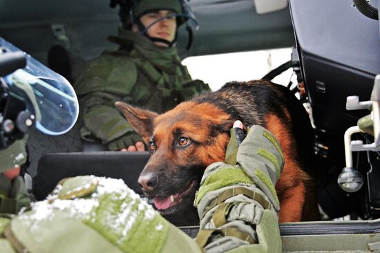 Mine clearing canine service training