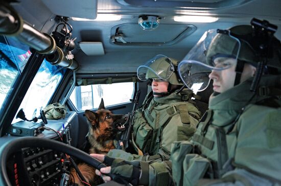 Mine clearing canine service training