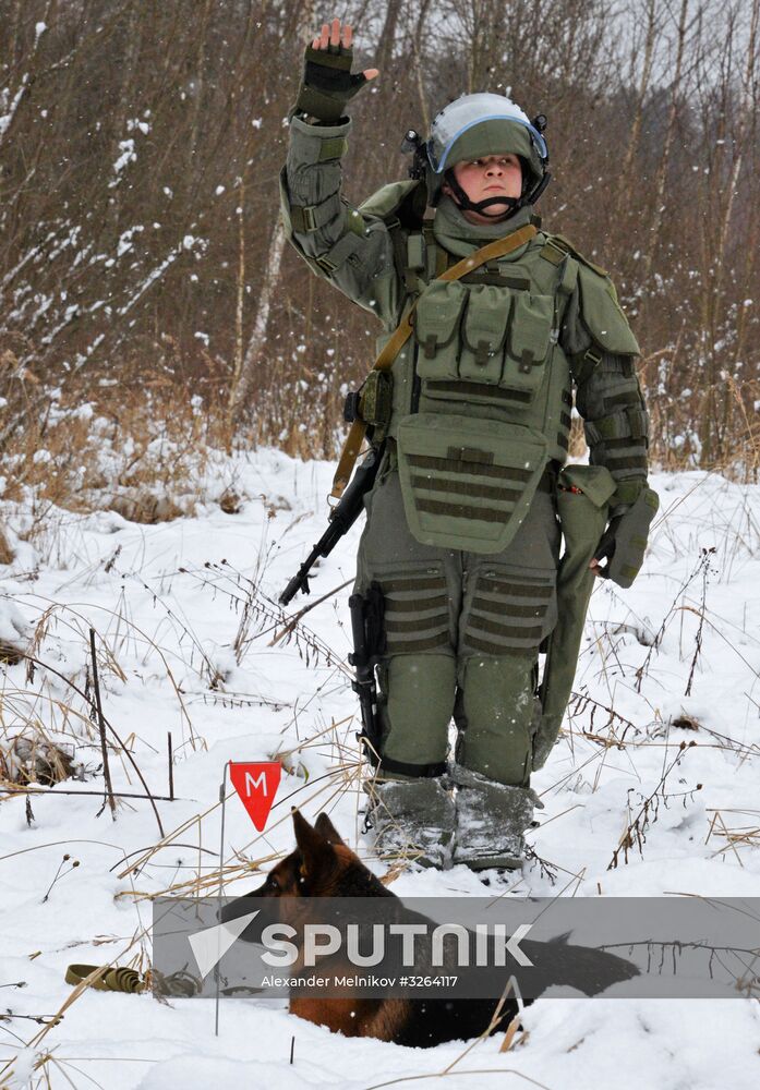 Mine clearing canine service training