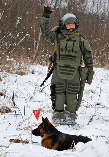 Mine clearing canine service training
