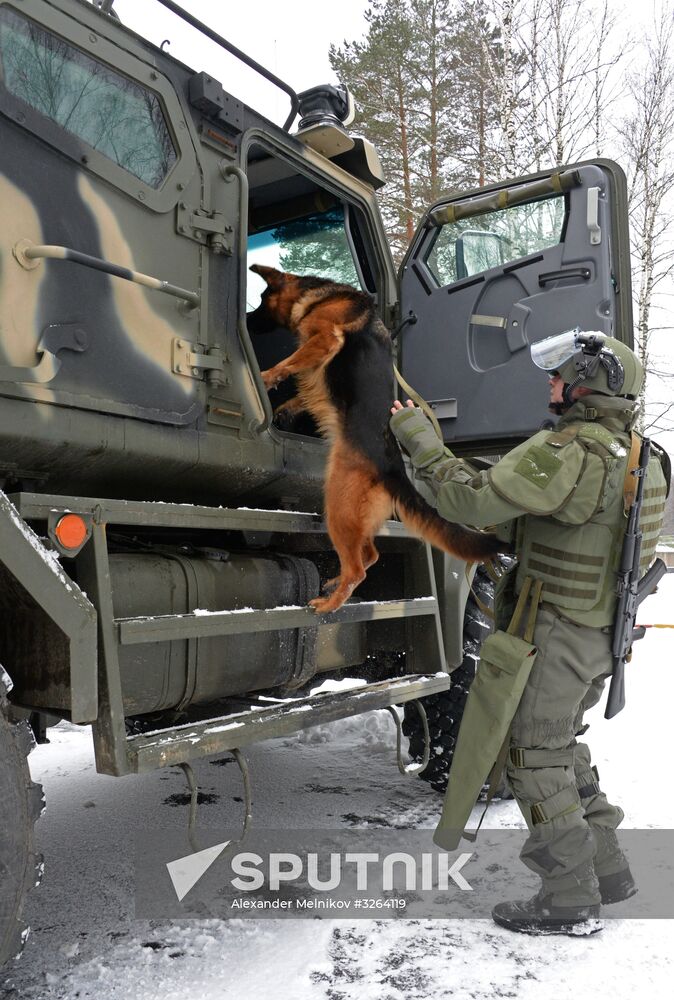 Mine clearing canine service training