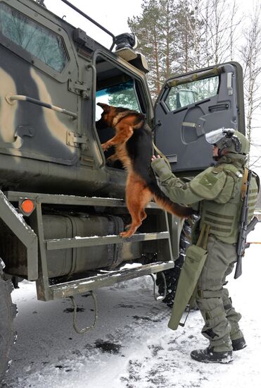 Mine clearing canine service training