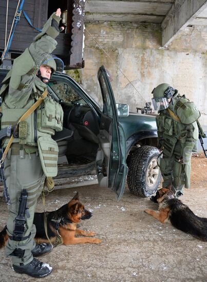 Mine clearing canine service training