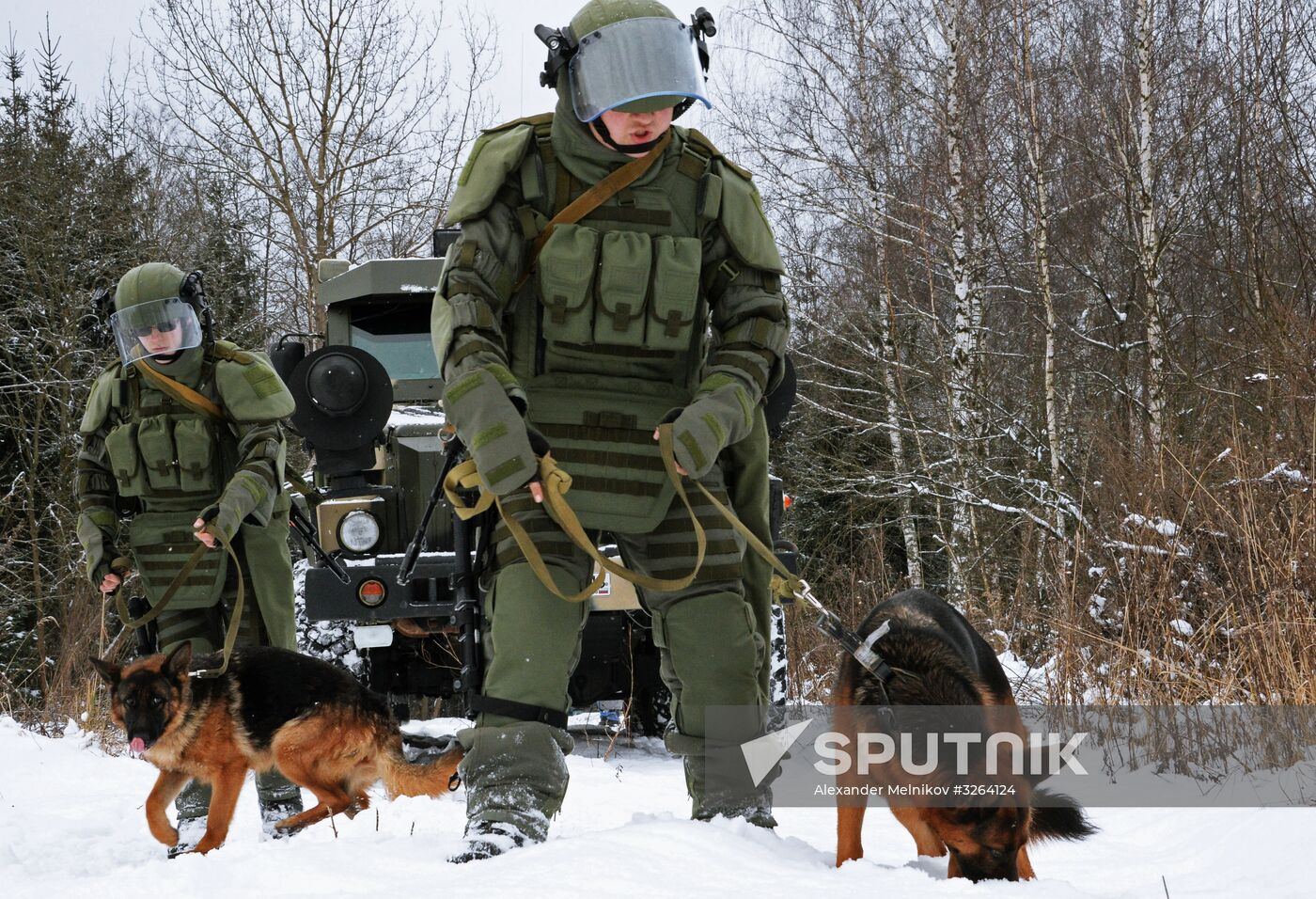 Mine clearing canine service training