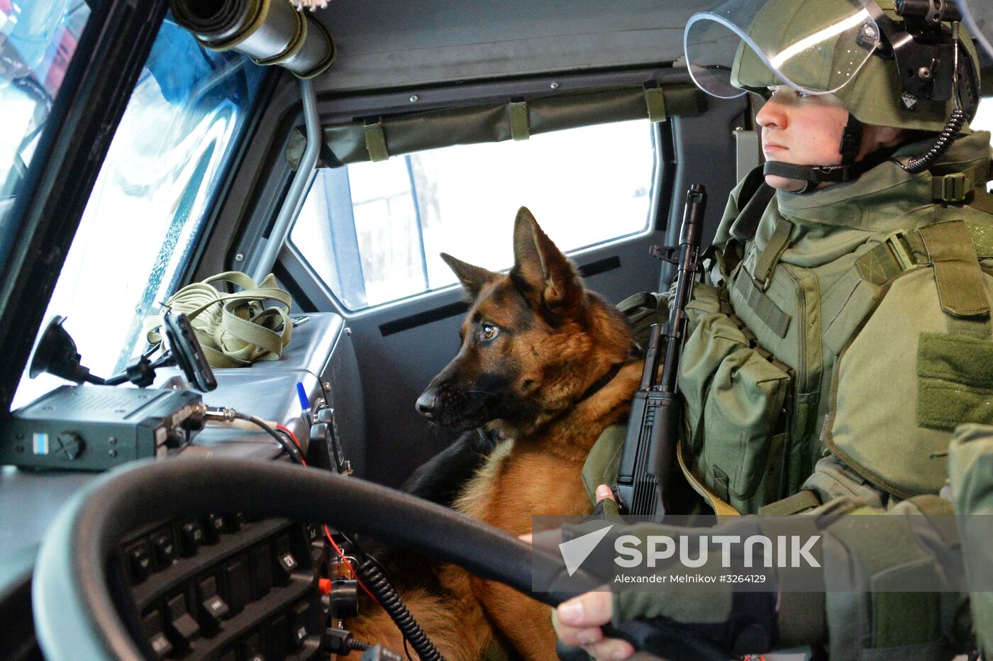 Mine clearing canine service training