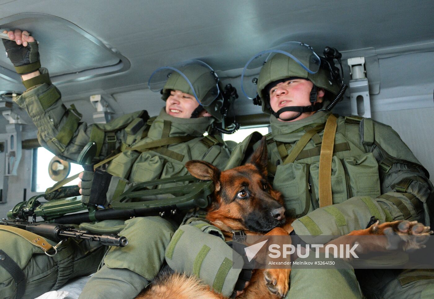 Mine clearing canine service training