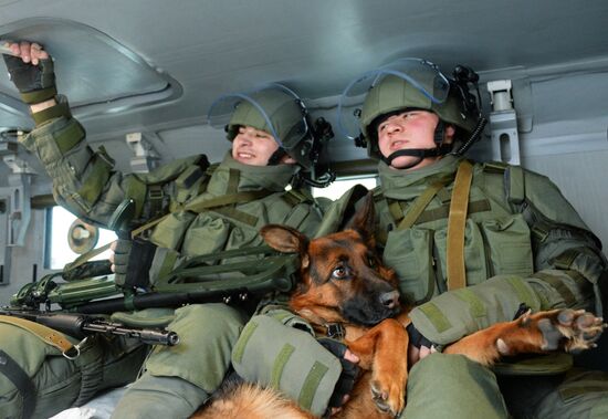 Mine clearing canine service training