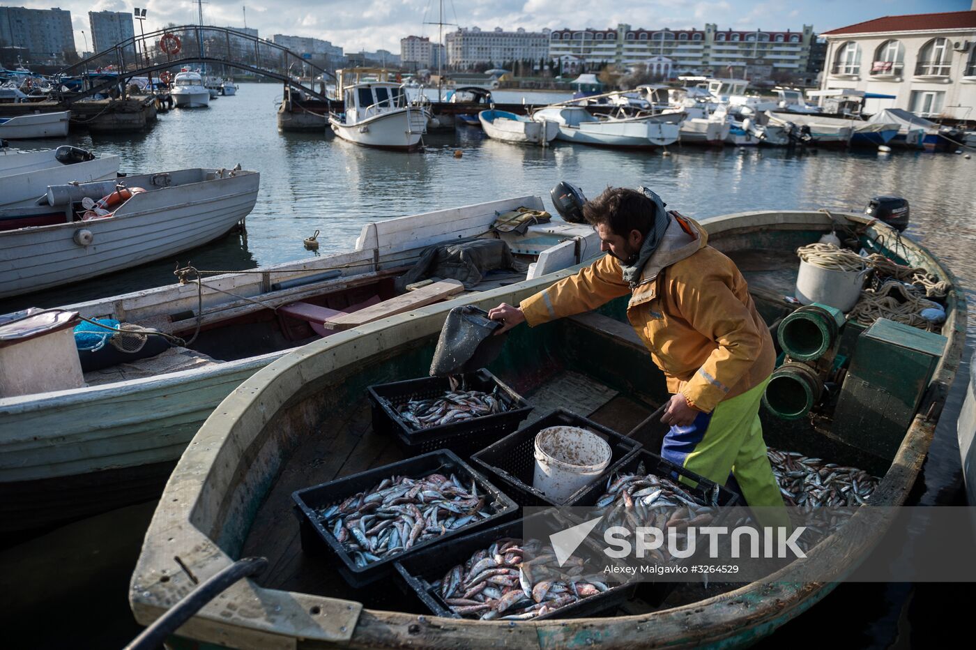 Inshore fisheries in Sevastopol