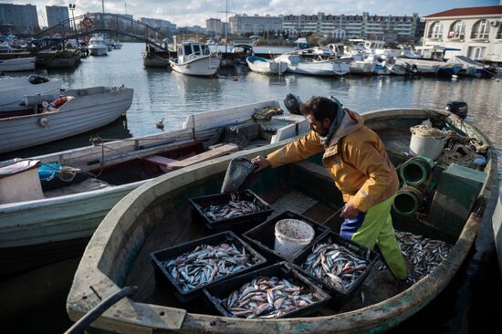 Inshore fisheries in Sevastopol