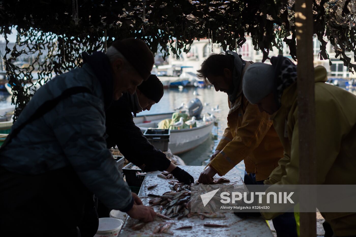 Inshore fisheries in Sevastopol