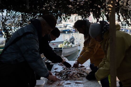 Inshore fisheries in Sevastopol