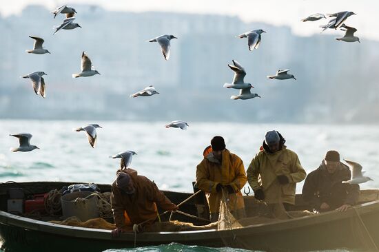 Inshore fisheries in Sevastopol