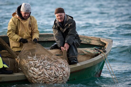 Inshore fisheries in Sevastopol
