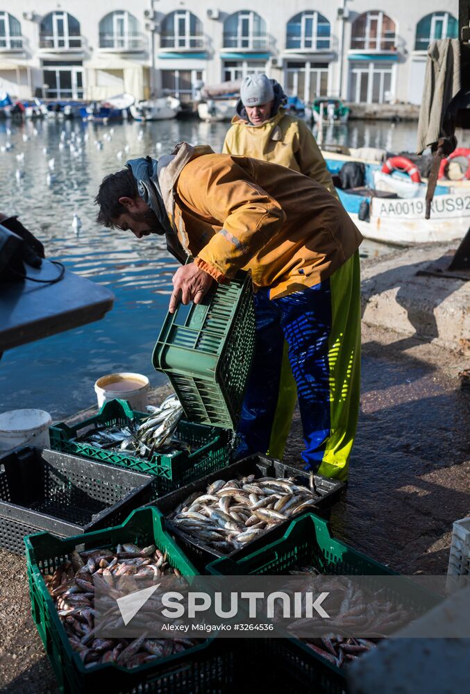 Inshore fisheries in Sevastopol