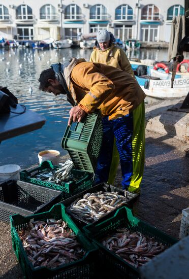 Inshore fisheries in Sevastopol